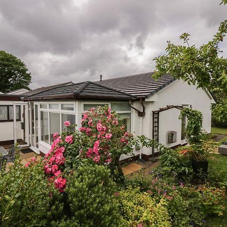 The Bird'S Nest Villa Windermere Bagian luar foto