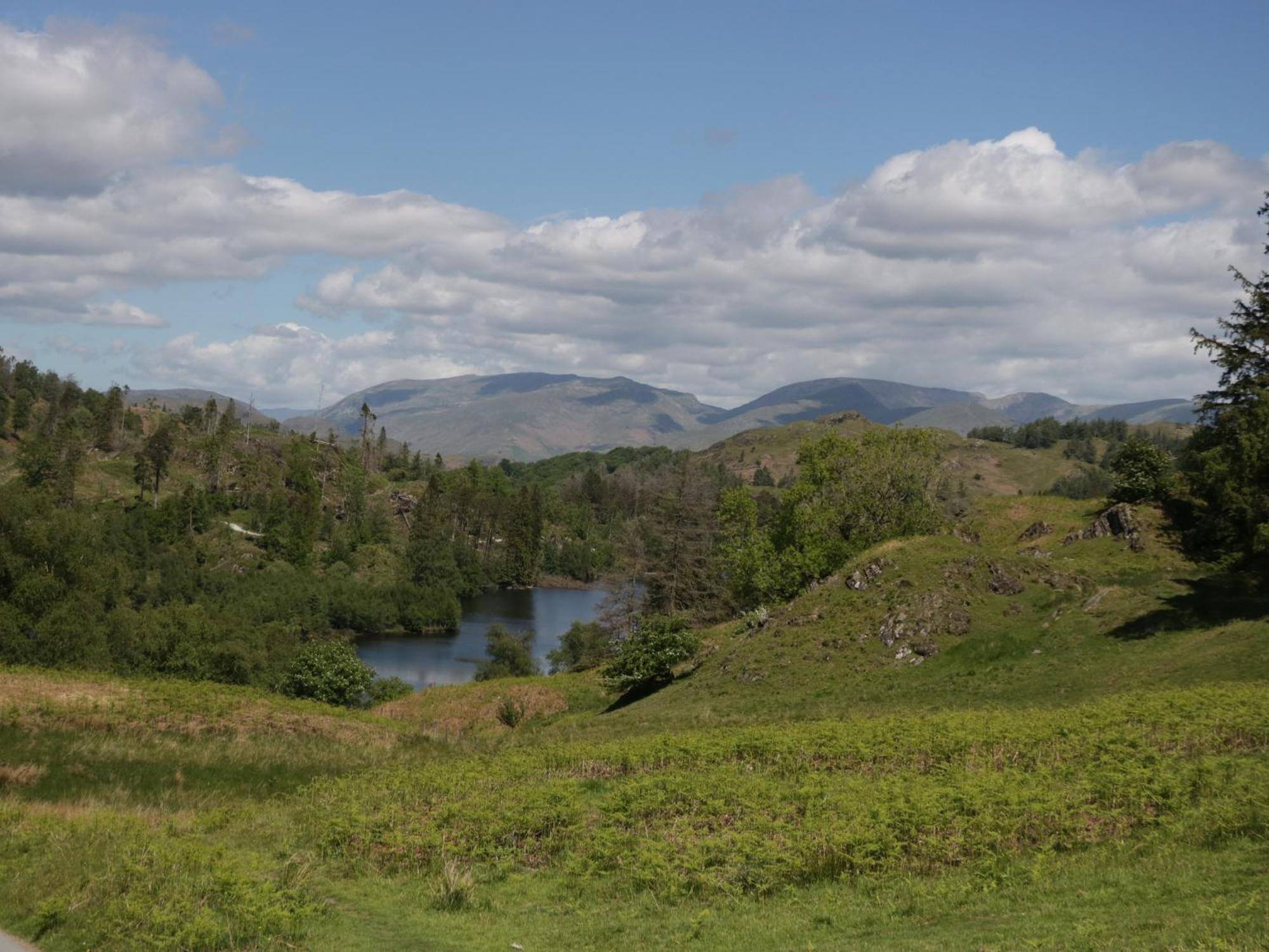 The Bird'S Nest Villa Windermere Bagian luar foto